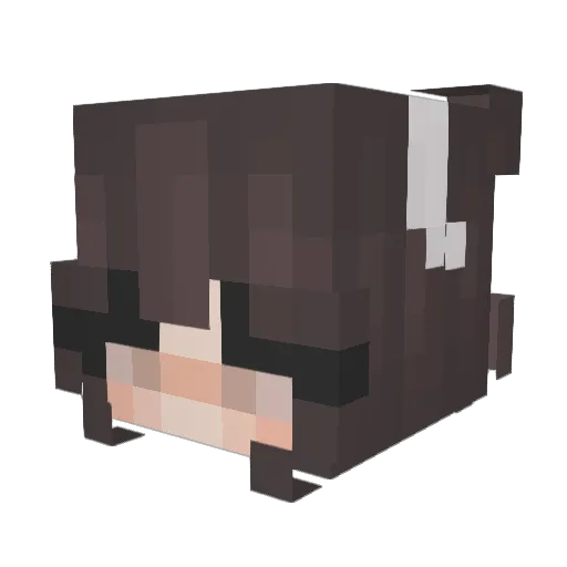 emilyloveskai Minecraft avatar head, 3D render
