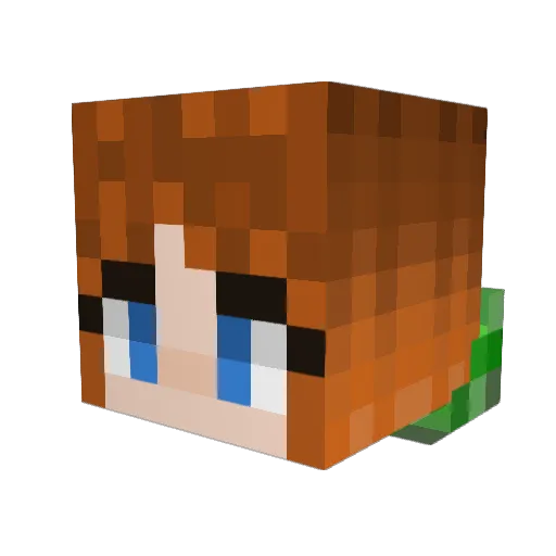 emilyltyo Minecraft avatar head, 3D render