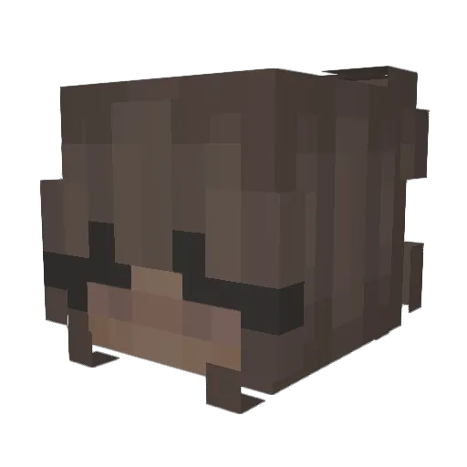 emilypuglisi Minecraft avatar head, 3D render