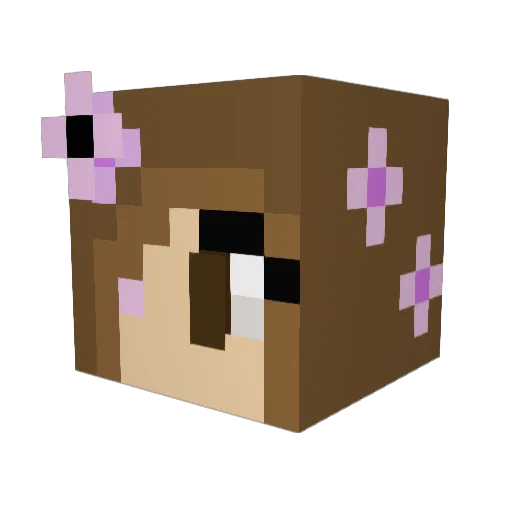 emilyrocks15 Minecraft avatar head, 3D render