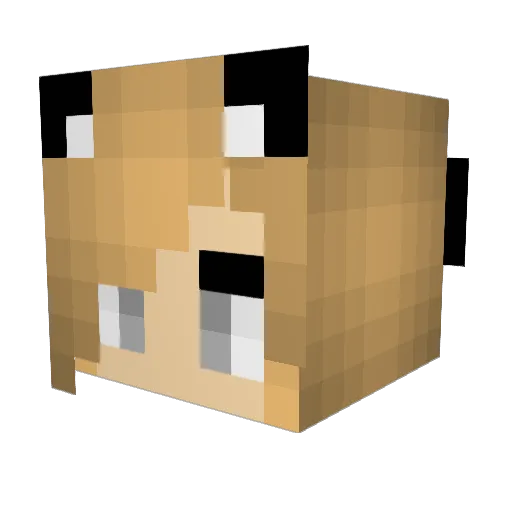 emilyslg Minecraft avatar head, 3D render
