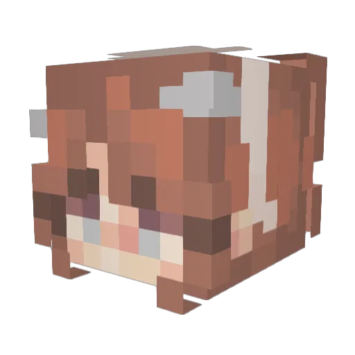 emilythedoor Minecraft avatar head, 3D render