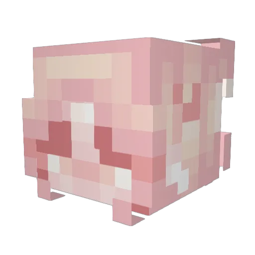 emilytheweirdo Minecraft avatar head, 3D render