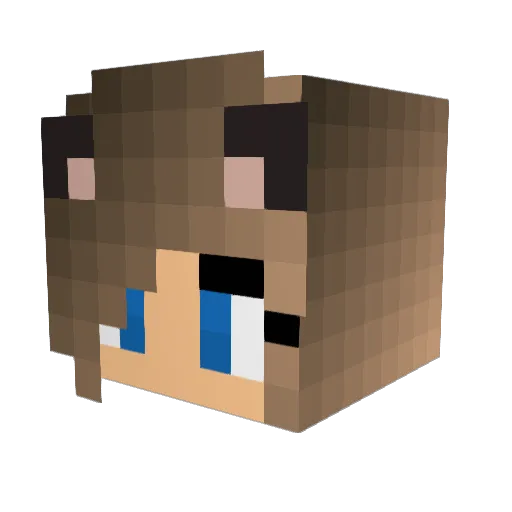 emilyyy907 Minecraft avatar head, 3D render