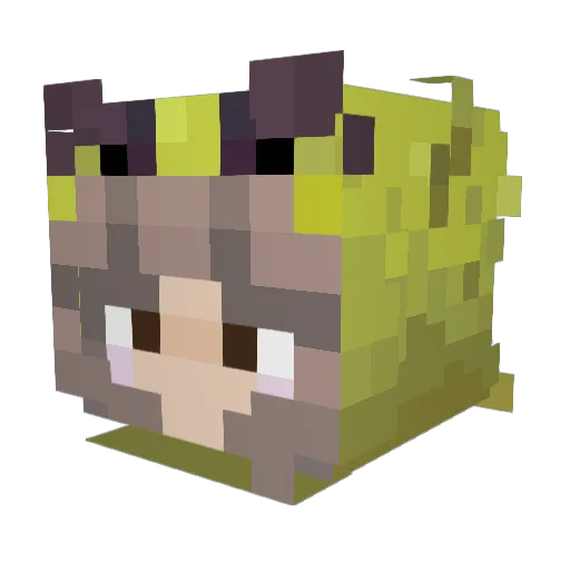 emima19 Minecraft avatar head, 3D render