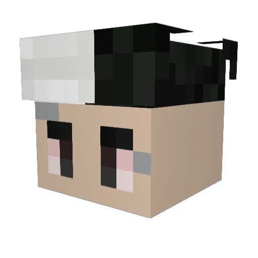 eminove11 Minecraft avatar head, 3D render