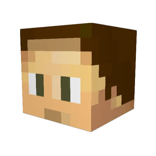 emirapaydin Minecraft avatar head, 3D render