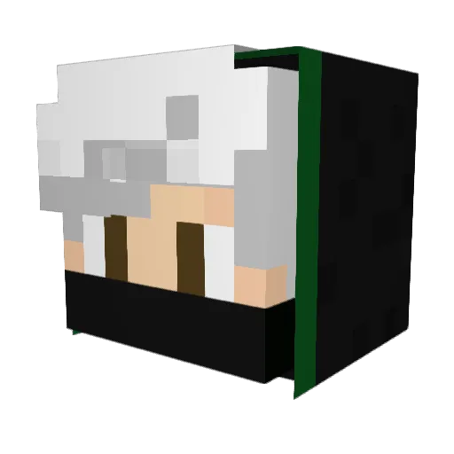 emirer2013 Minecraft avatar head, 3D render