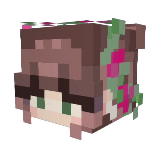 emixx22 Minecraft avatar head, 3D render