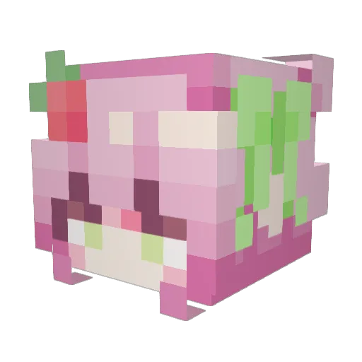 emiyalmond Minecraft avatar head, 3D render