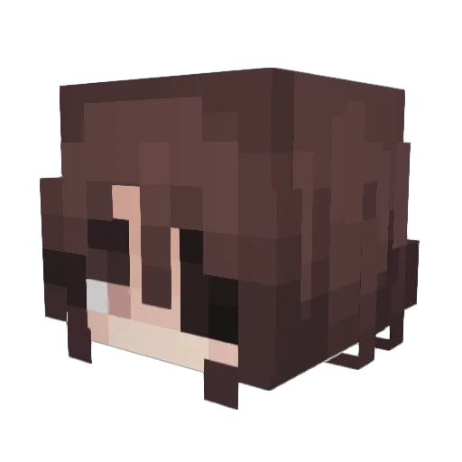 emjay2022 Minecraft avatar head, 3D render