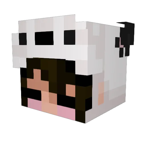 emjhtw Minecraft avatar head, 3D render