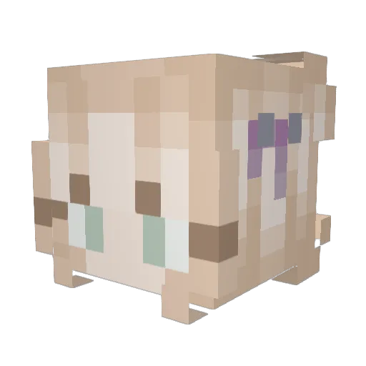 emm1lou Minecraft avatar head, 3D render