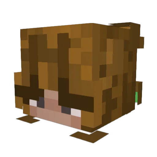 emma9302 Minecraft avatar head, 3D render