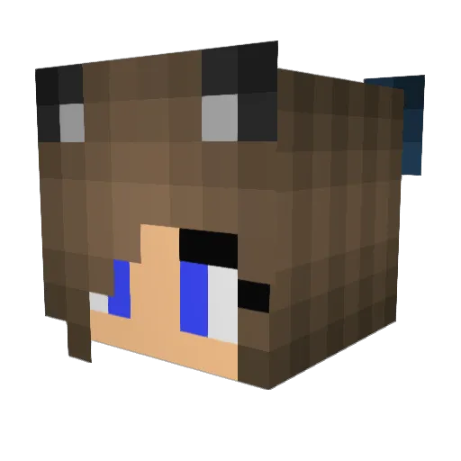 emmac1964 Minecraft avatar head, 3D render