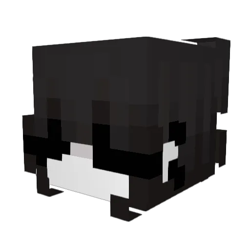 emmaee_ Minecraft avatar head, 3D render