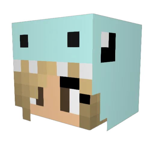 emmag1ll1n Minecraft avatar head, 3D render