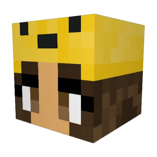 emmalalilu Minecraft avatar head, 3D render