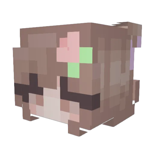 emmalaurie Minecraft avatar head, 3D render