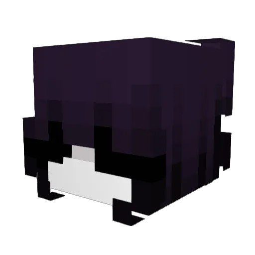 emmaliciouss Minecraft avatar head, 3D render