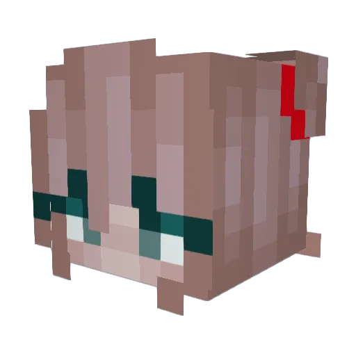 emmers21 Minecraft avatar head, 3D render