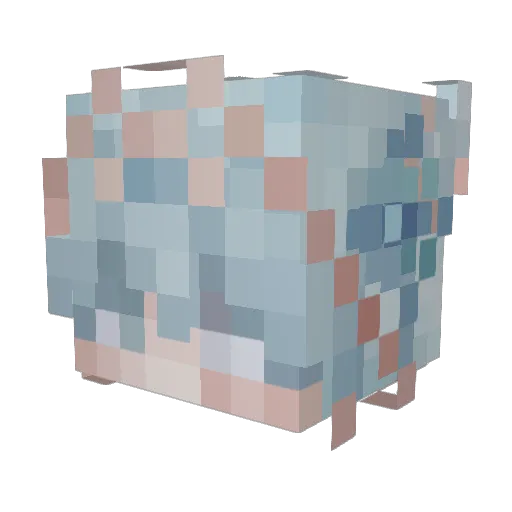 emmers_1227 Minecraft avatar head, 3D render