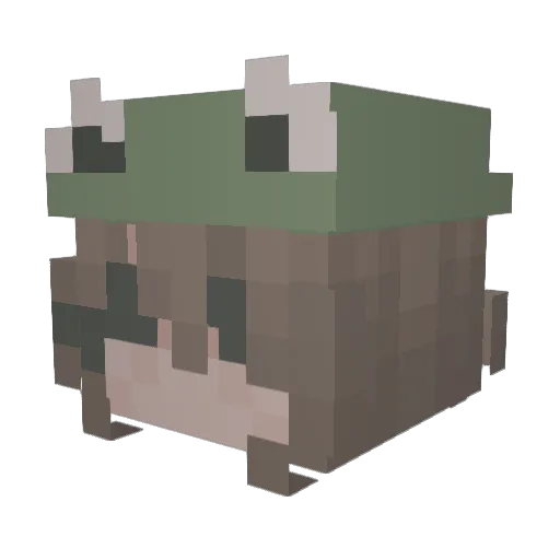 emmfew Minecraft avatar head, 3D render