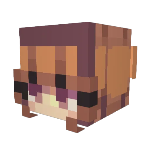 emmi22_25 Minecraft avatar head, 3D render