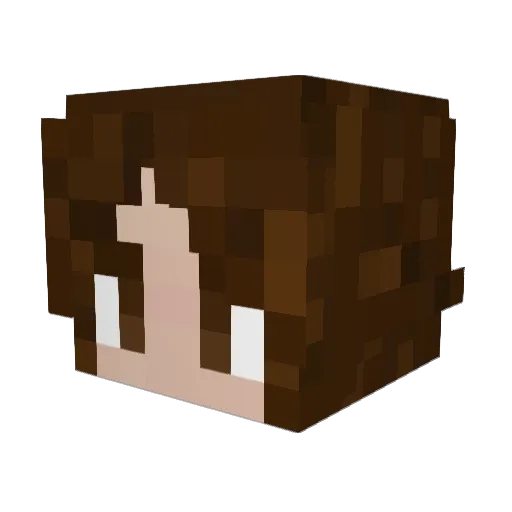 emmika2 Minecraft avatar head, 3D render