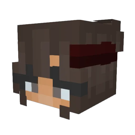 emmis__ Minecraft avatar head, 3D render