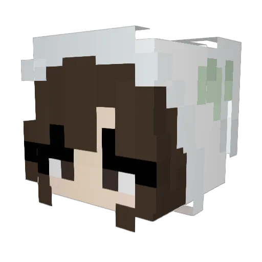 emmmm5 Minecraft avatar head, 3D render