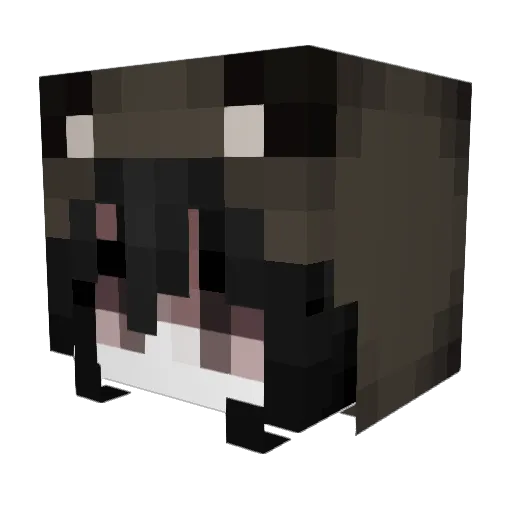 emmreow Minecraft avatar head, 3D render