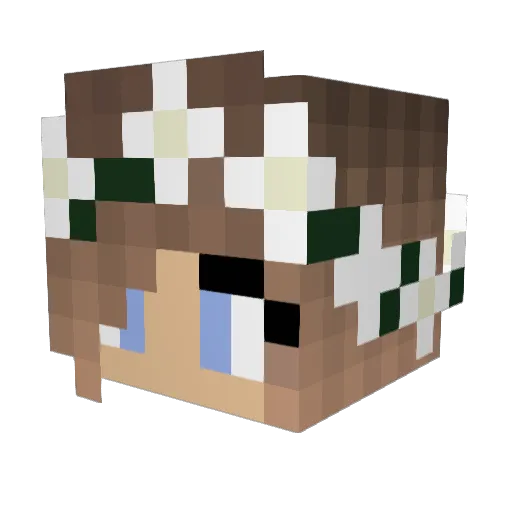 emmwin1 Minecraft avatar head, 3D render