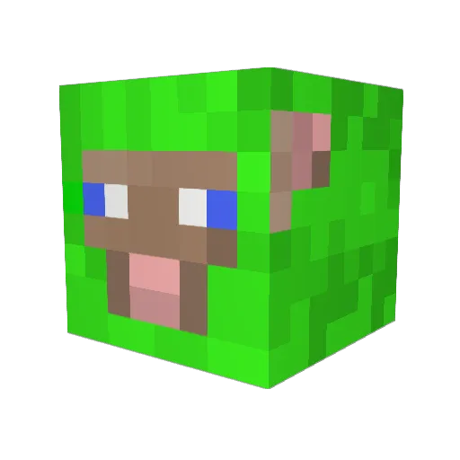 emmyb444 Minecraft avatar head, 3D render
