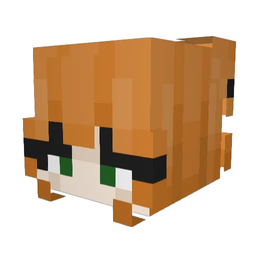 emok1d2005 Minecraft avatar head, 3D render