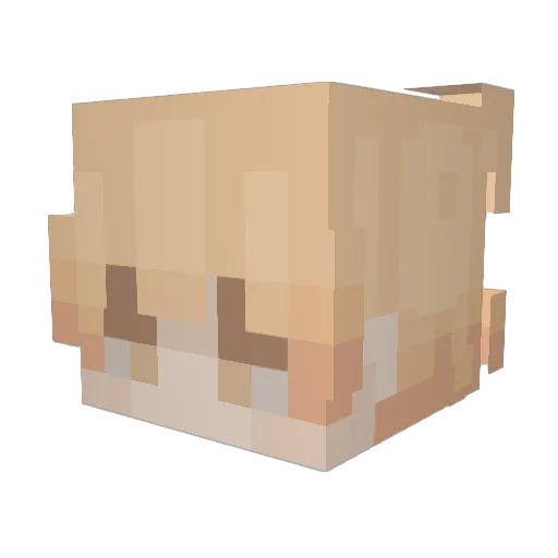 emokapi123 Minecraft avatar head, 3D render