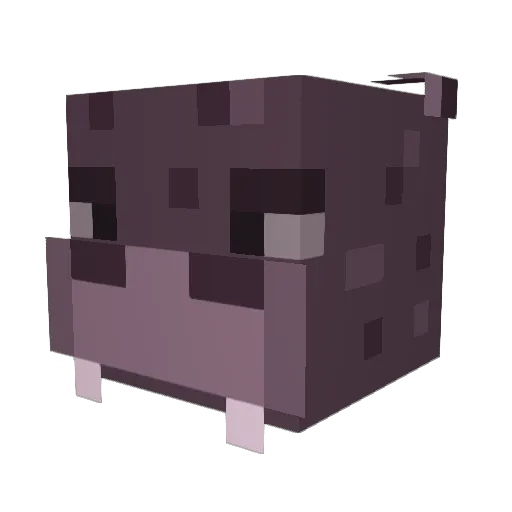 emokid955 Minecraft avatar head, 3D render