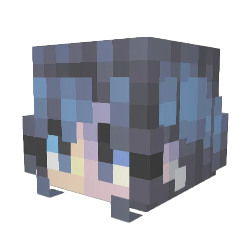 emopica420 Minecraft avatar head, 3D render