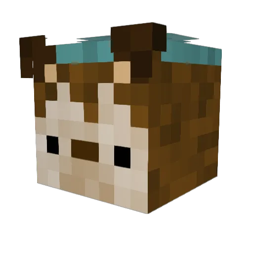 emorroneous Minecraft avatar head, 3D render