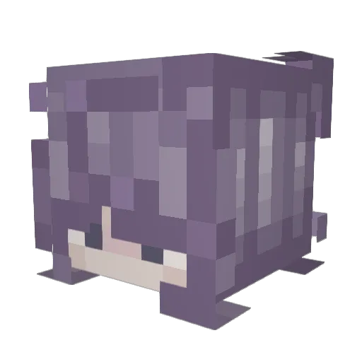 emory108 Minecraft avatar head, 3D render