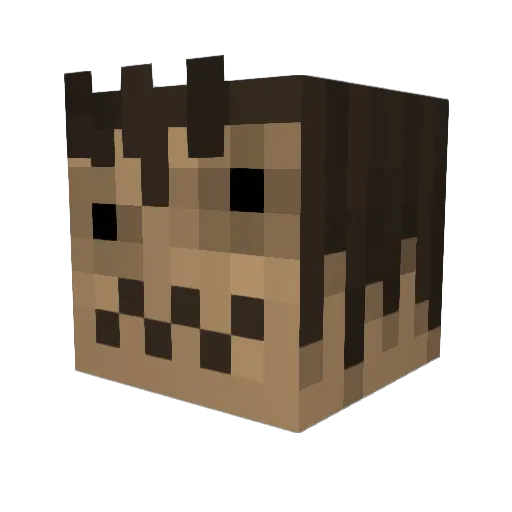 emoscorcia Minecraft avatar head, 3D render