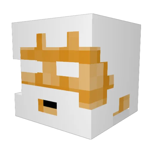 empathicBasmati3 Minecraft avatar head, 3D render