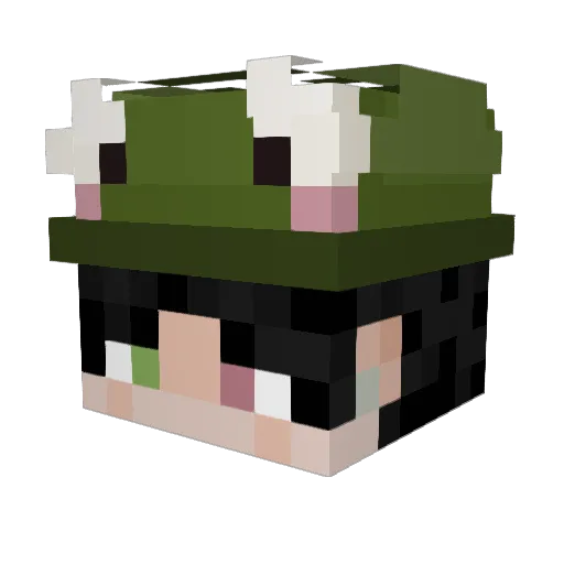 emphibian_ Minecraft avatar head, 3D render