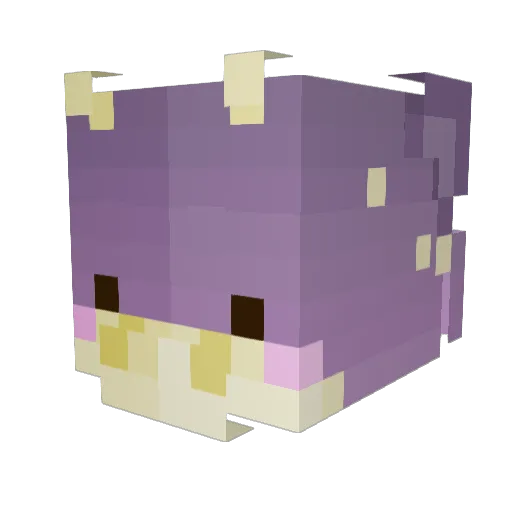 empire802 Minecraft avatar head, 3D render