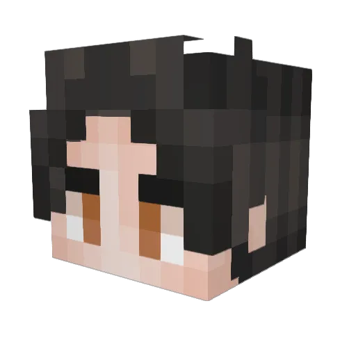 emploismuswashan Minecraft avatar head, 3D render