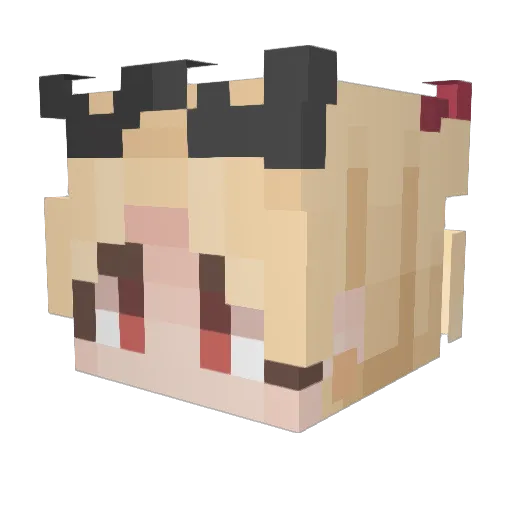 employesonlyroom Minecraft avatar head, 3D render