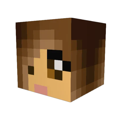 empop03 Minecraft avatar head, 3D render