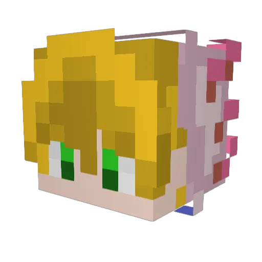 empty0_0 Minecraft avatar head, 3D render