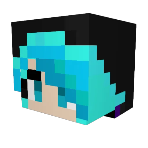 empty_png Minecraft avatar head, 3D render