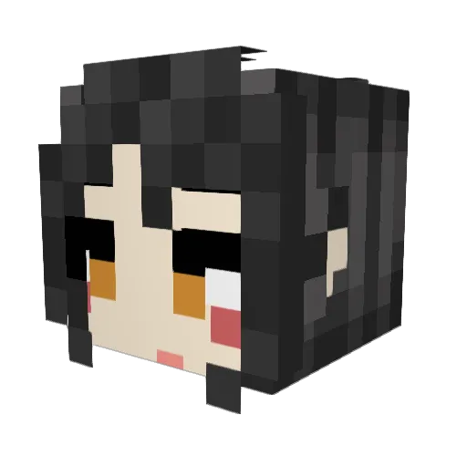 emptyegg555 Minecraft avatar head, 3D render